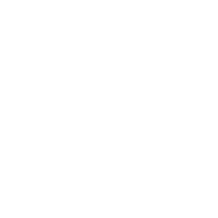 C2 Hybrid Cosmetic